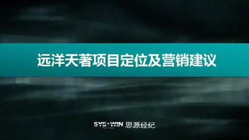 远洋天蓍定位报告