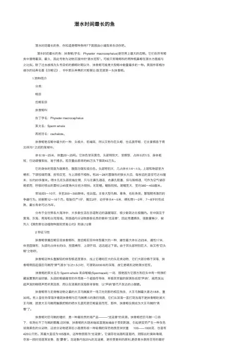 潜水时间最长的鱼