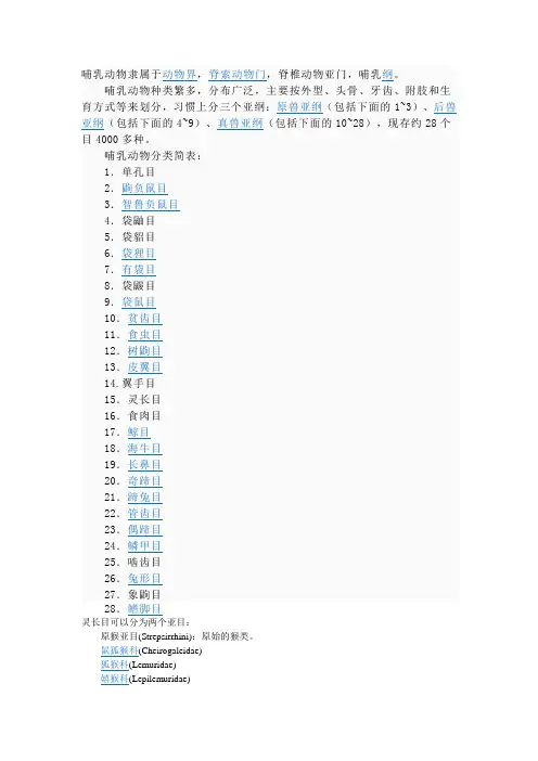 哺乳动物分类