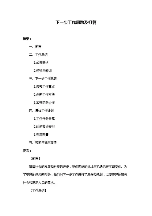 下一步工作思路及打算
