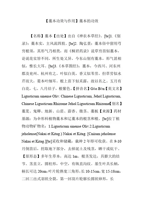 【藁本功效与作用】藁本的功效
