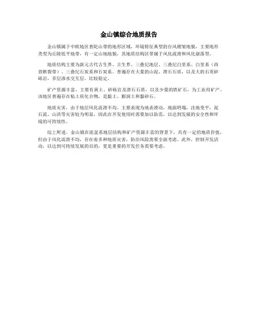金山镇综合地质报告
