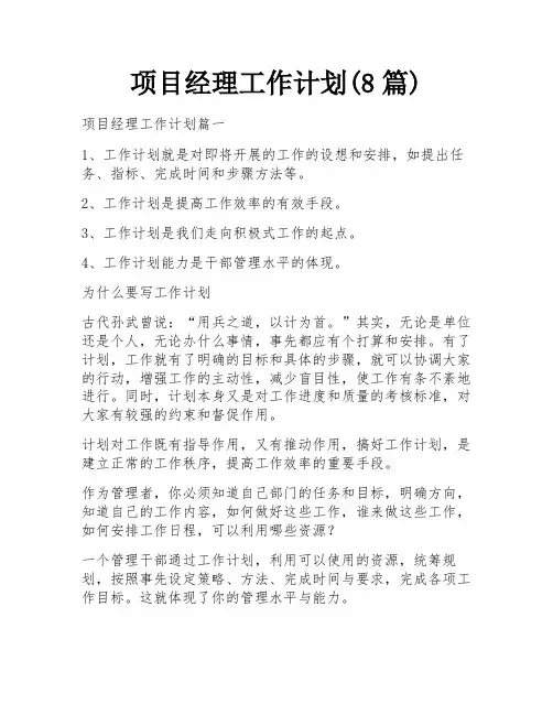 项目经理工作计划(8篇)