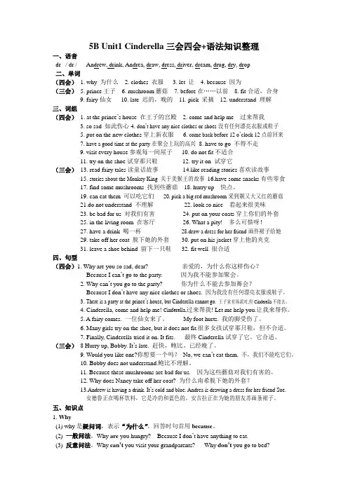 [译林版]5B Unit1 Cinderella三会四会+语法知识整理