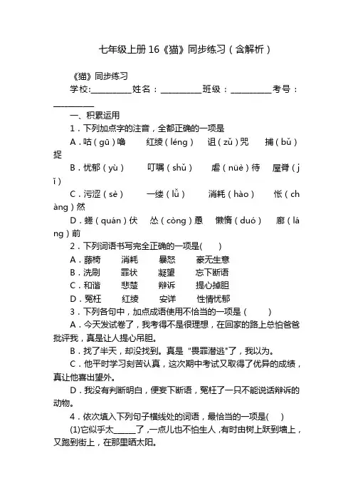 七年级上册16《猫》同步练习(含解析)