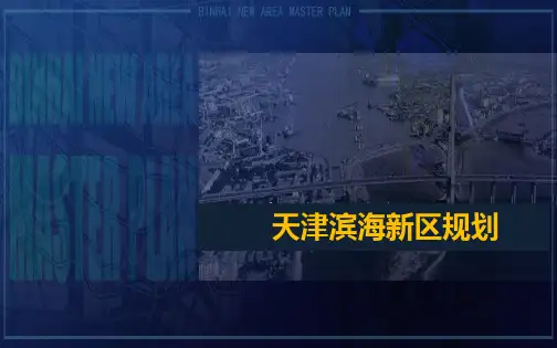 滨海规划详细版