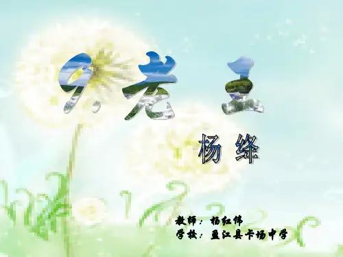 老王公开课(课件)
