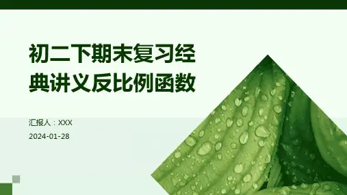 初二下期末复习经典讲义反比例函数