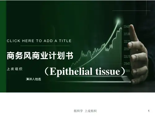 组织学与胚胎学上皮组织