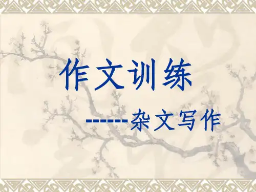杂文写作训练教学ppt课件