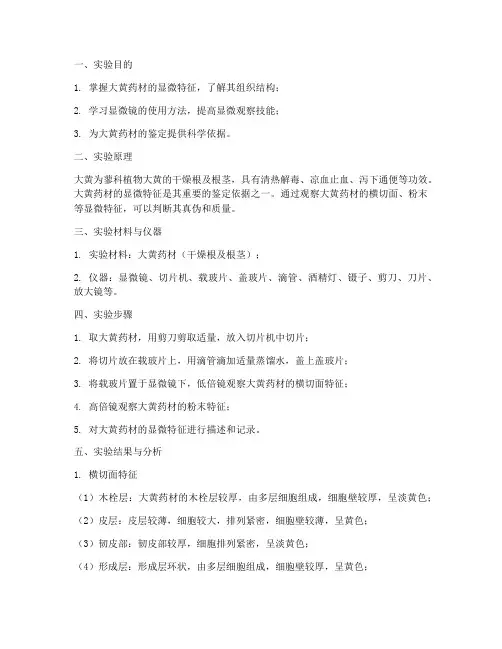 显微观察大黄实验报告
