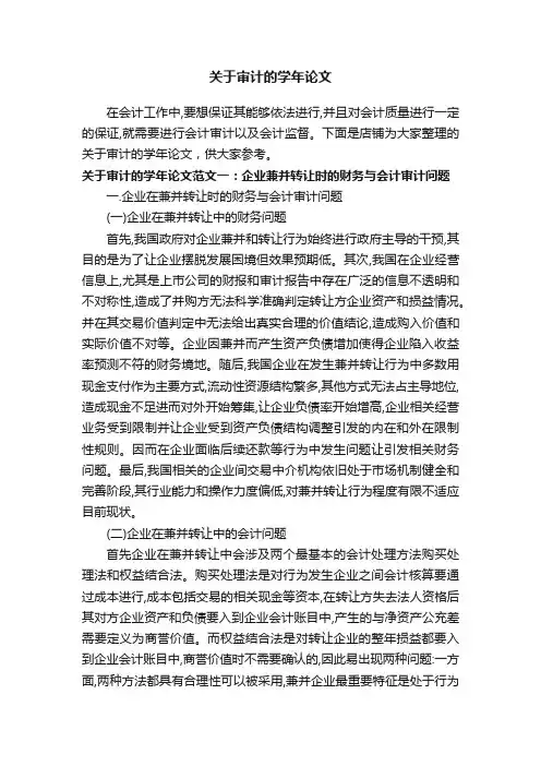 关于审计的学年论文