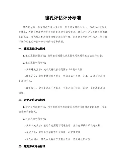 瞳孔评估评分标准