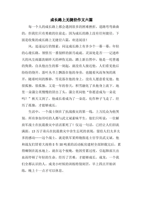 成长路上无捷径作文六篇