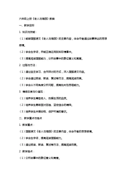 六年级上册《老人与海鸥》教案