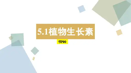 5.1植物生长素