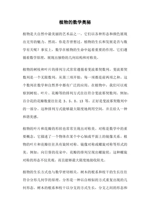 植物的数学奥秘