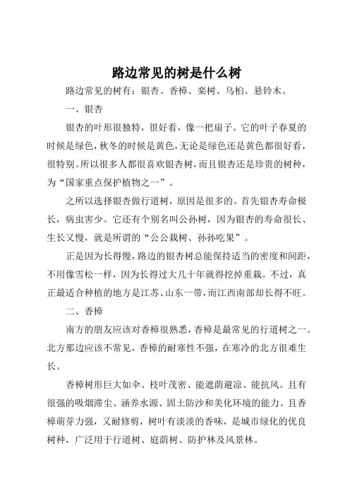 路边的树是什么树