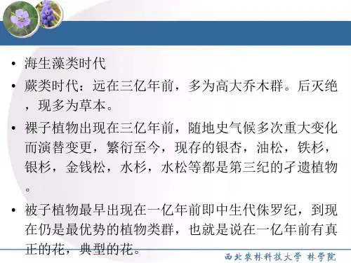 园林树木学被子植物门1-1