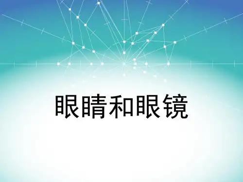 眼睛和眼镜  课件