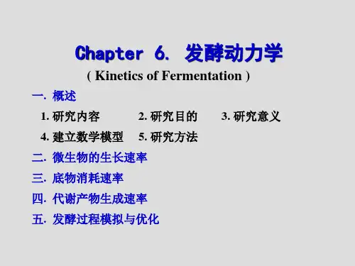 6.发酵动力学课件