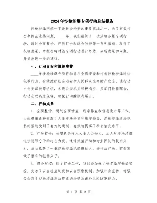 2024年涉枪涉爆专项行动总结报告