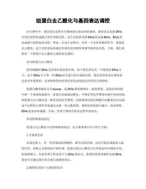 组蛋白去乙酰化与基因表达调控