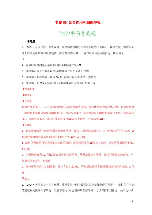 2024年高考生物真题和模拟题分类汇编专题03光合作用和细胞呼吸
