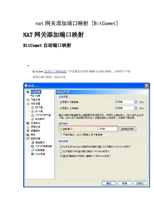 nat网关添加端口映射 [BitComet]