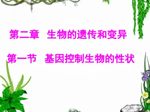 基因控制生物的性状说课稿市公开课一等奖课件名师大赛获奖课件