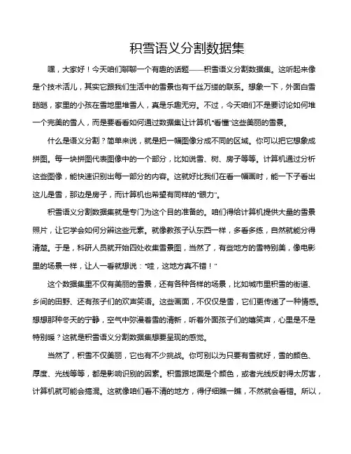 积雪语义分割数据集