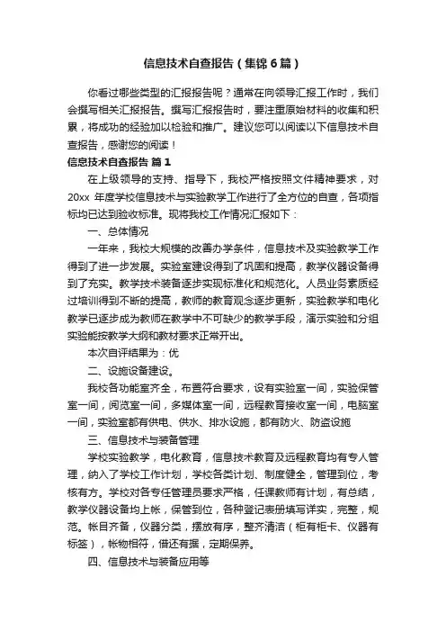 信息技术自查报告（集锦6篇）