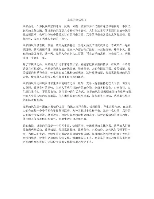 岚皋的风俗作文