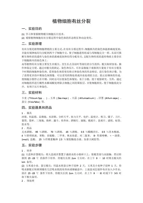 植物细胞有丝分裂