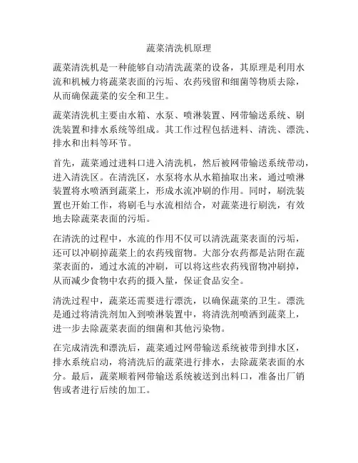 蔬菜清洗机原理