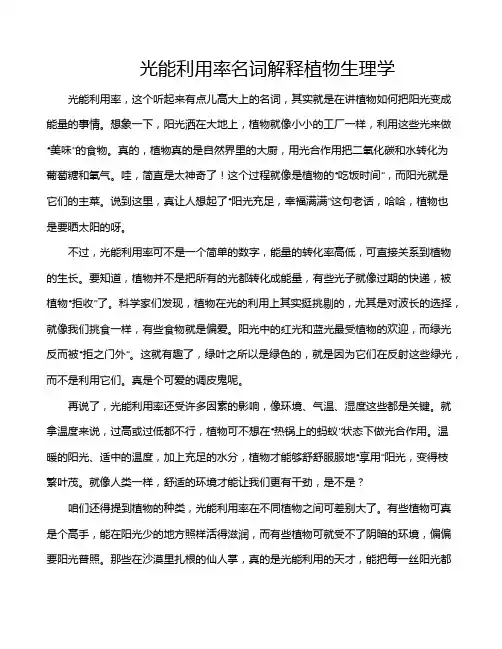 光能利用率名词解释植物生理学