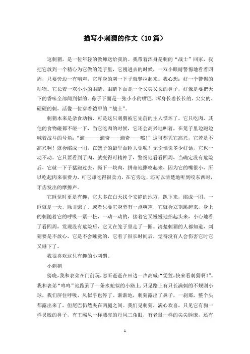 描写小刺猬的作文(10篇)
