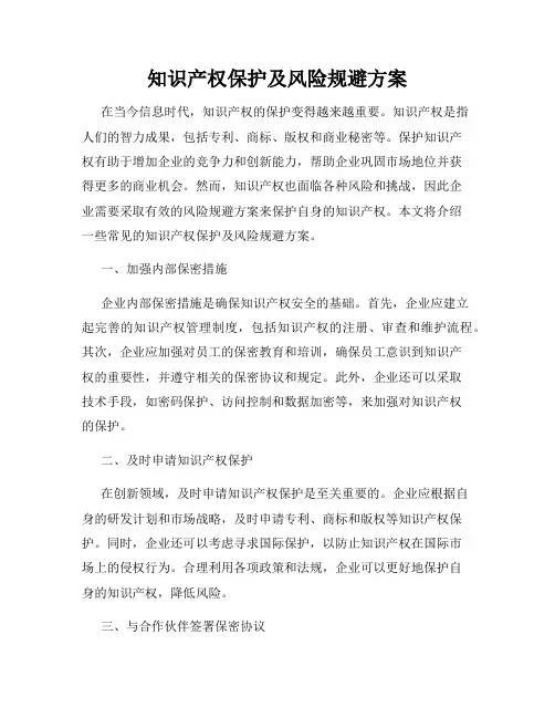 知识产权保护及风险规避方案