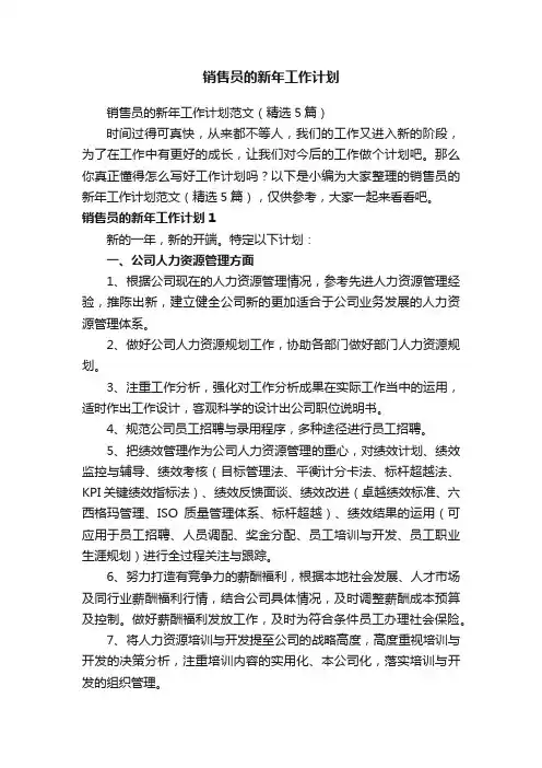 销售员的新年工作计划范文（精选5篇）