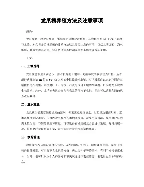 龙爪槐养殖方法及注意事项