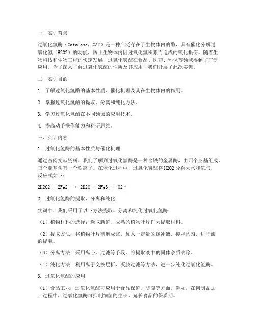 过氧化氢酶的实训报告