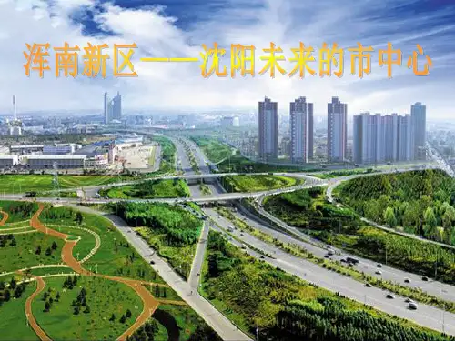 沈阳市浑南新区区位分析报告