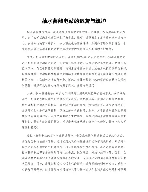 抽水蓄能电站的运营与维护