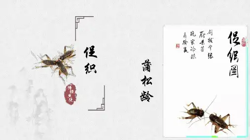 《促织》(教学课件)——高中语文人教统编版必修下册 