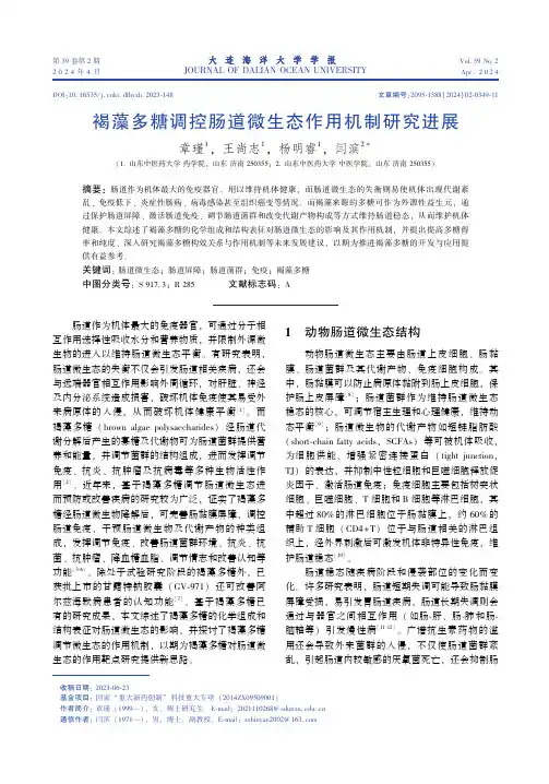褐藻多糖调控肠道微生态作用机制研究进展
