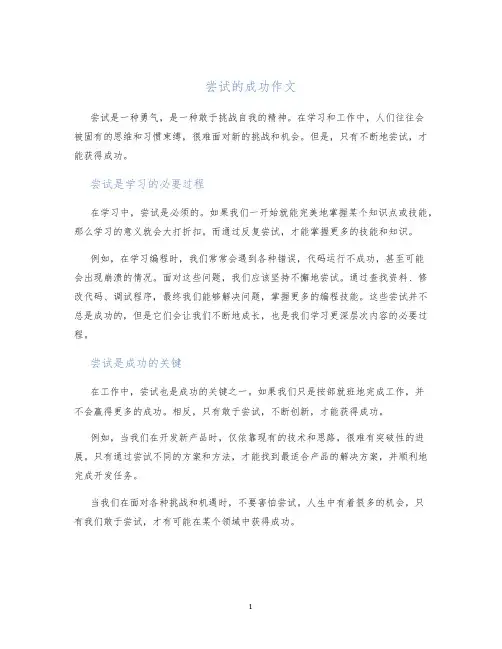 尝试的成功作文