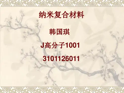 纳米复合材料简介
