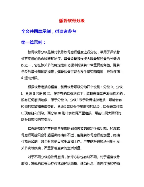 髌骨软骨分级