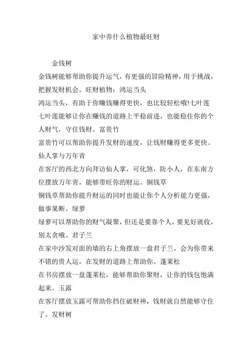 家中养什么植物最旺财