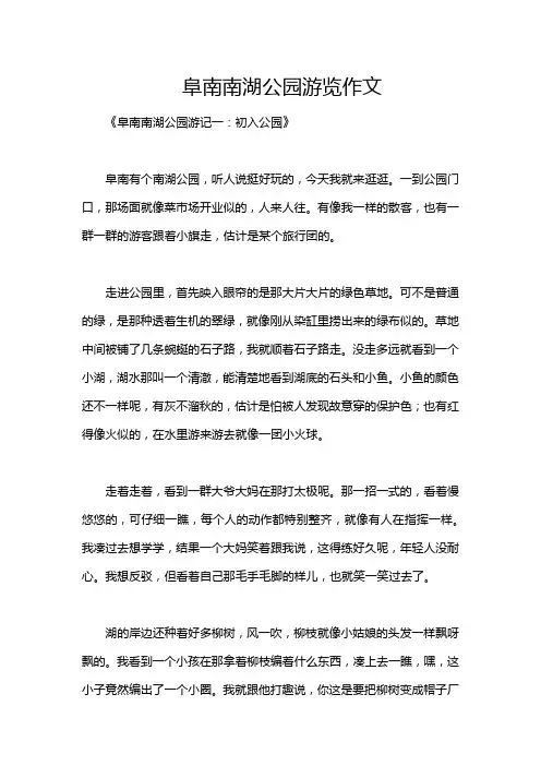 阜南南湖公园游览作文